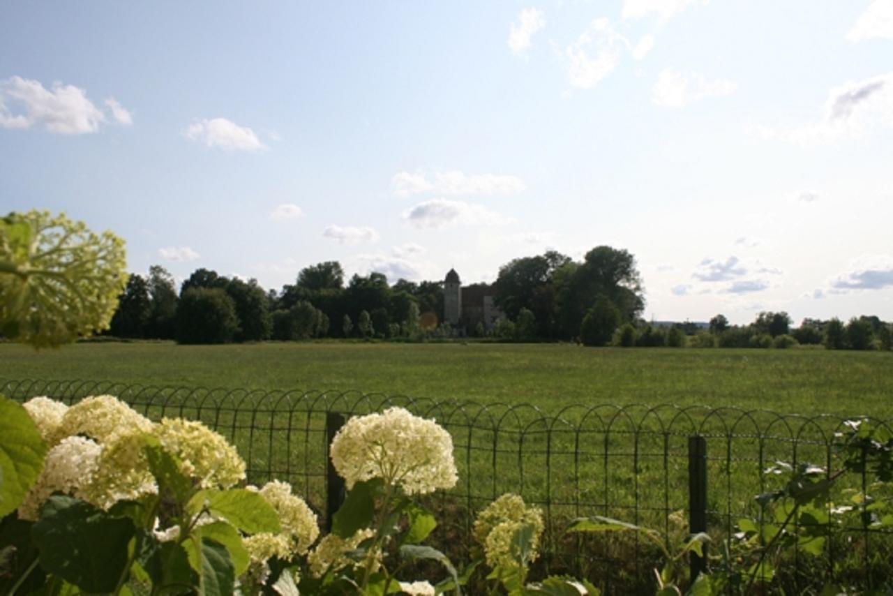 Ferienwohnungen Schlossblick Muhr am See Exterior foto